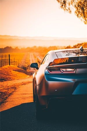 image of car during golden hour