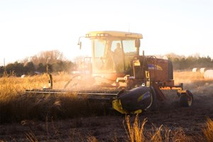 Combine Harvester in Field